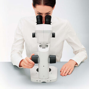 SZ61 EVIDENT SZ61 EVIDENT